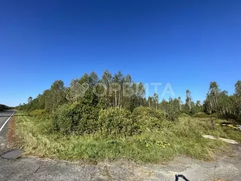 Участок в Тюменская область, Нижнетавдинский муниципальный округ, с. ...