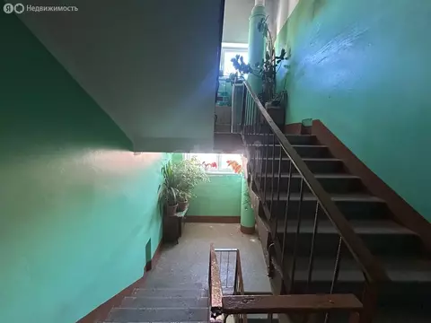 1-комнатная квартира: Светлогорск, Ленинградская улица, 5 (34 м)