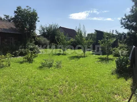 Дом в Хакасия, Абакан ул. 2-я Садовая (26 м)