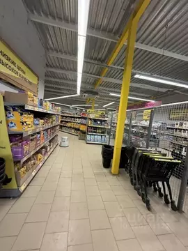 Торговая площадь в Ростовская область, Донецк ул. Королева, 19 (750 м)