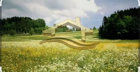 Участок в Пермский край, Березники муниципальный округ, с. Романово  ...