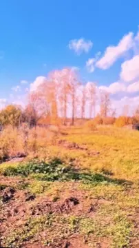Участок в Пермский край, Пермь  (16.0 сот.)