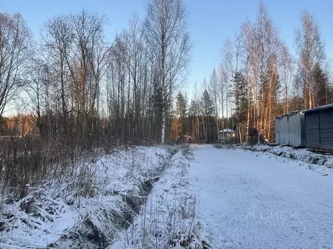 Участок в Ленинградская область, Всеволожское городское поселение, ...