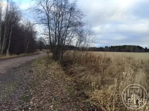 Участок в Ленинградская область, Выборгский район, Полянское с/пос, д. ...