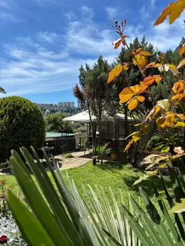 Студия Краснодарский край, Сочи Новый Сочи мкр, ул. Клубничная, 1/6 ...