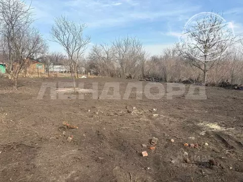 Участок в Ростовская область, Новочеркасск № 16 садовое товарищество, ...