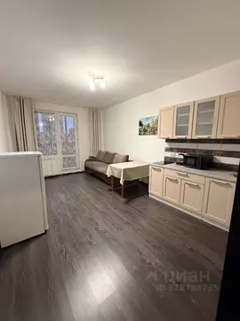 Студия Санкт-Петербург ул. Верхне-Каменская, 9к1 (25.7 м)