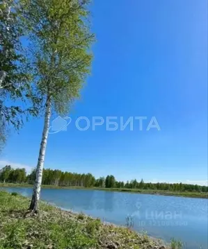 Участок в Тюменская область, Тюменский район Салаирский тракт, 14-й км ...