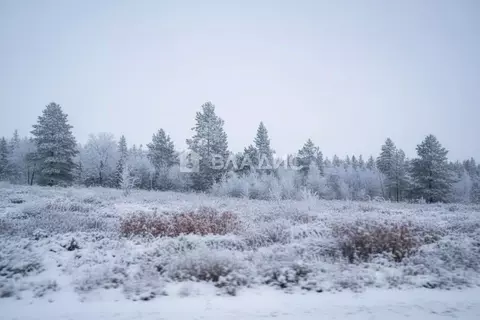 Участок в Бурятия, Тарбагатайский район, Саянтуйское с/пос, с. Нижний ...