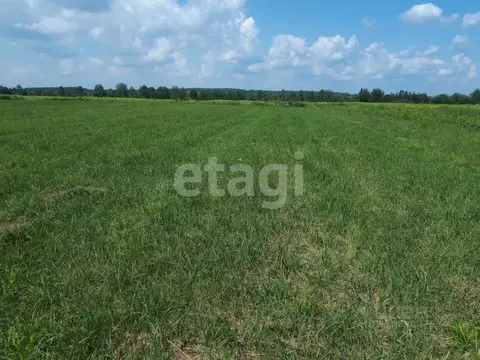 Участок в Брянская область, Брянский район, Отрадненское с/пос, с. ...