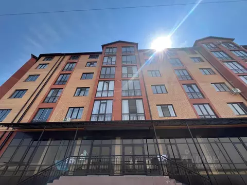 Помещение свободного назначения в Северная Осетия, Владикавказ ул. ...