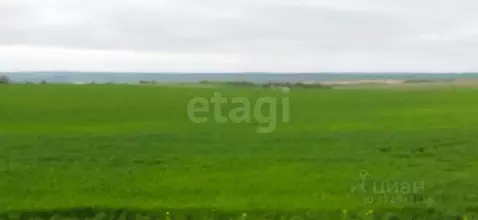 Участок в Крым, Ленинский район, Семисотское с/пос, с. Каменское ул. ...