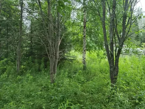 Участок в Свердловская область, Нижний Тагил муниципальный округ, пос. ...