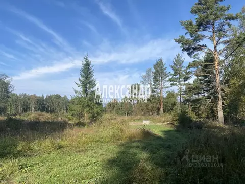 Участок в Ленинградская область, Приозерский район, Ларионовское ...