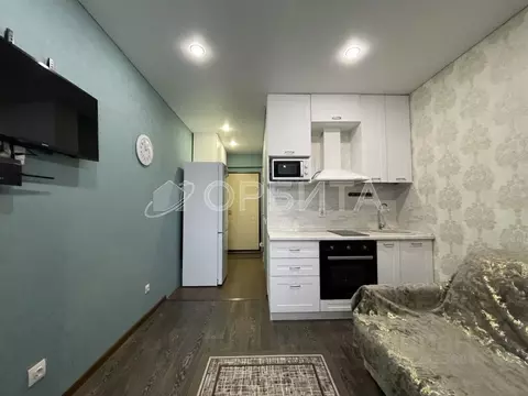 Студия Тюменская область, Тюмень ул. Новоселов, 115 (18.0 м)