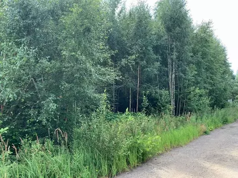 Участок в Ленинградская область, Всеволожский район, Сертоловское ...