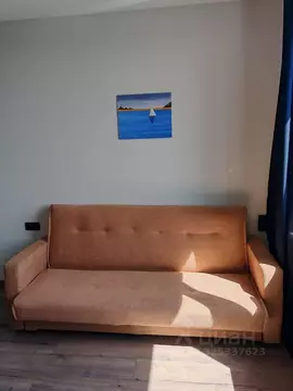 Студия Московская область, Лыткарино 6-й мкр, 15Д (17.6 м)