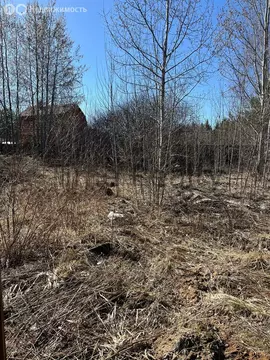 Участок в Одинцовский городской округ, СНТ Горки-2, 256 (10 м)