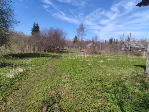 Участок в Псковская область, Невельский муниципальный округ, д. ...