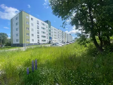 Студия Карелия, Суоярви Первомайская ул., 6А (30.3 м)