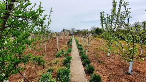Дом в Сакский район, Митяевское сельское поселение, СНТ Эскулап (27.2 ...
