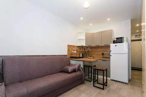 Студия Новосибирская область, Новосибирск ул. Забалуева, 102/2 (20.0 ...