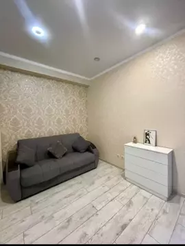 1-к кв. Краснодарский край, Сочи Донская ул., 108А (33.2 м)