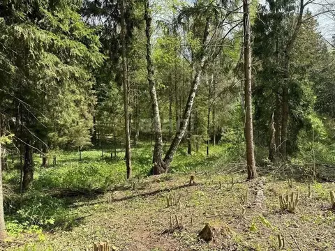 Участок в Калужская область, Малоярославецкий район, Ильинское с/пос, ...