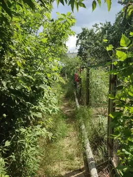 Участок в Нижегородская область, Дзержинск Мир СТ, 5 (5.5 сот.)