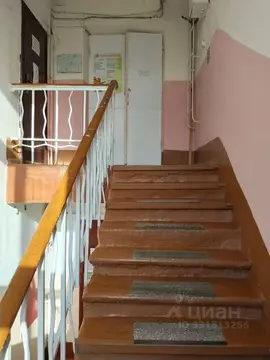 Помещение свободного назначения в Челябинская область, Южноуральск ...