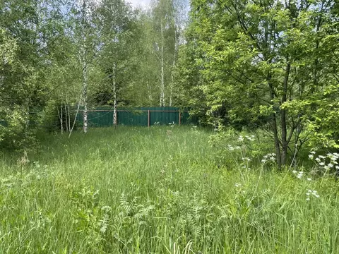 Участок в Владимирская область, Александровский муниципальный округ, ...