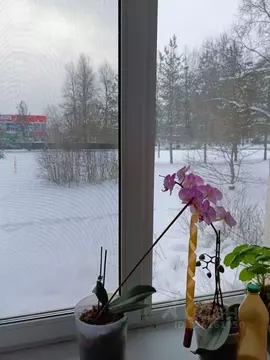 1-к кв. Ленинградская область, Любань Тосненский район, ул. Ленина, 15 ...