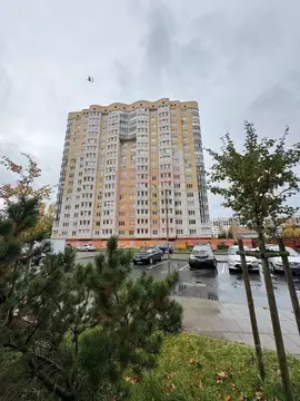 1-к кв. Калининградская область, Калининград Батальная ул., 94 (44.6 ...