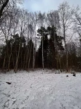 Участок в Тверская область, Кимрский муниципальный округ, д. Ушаковка  ...