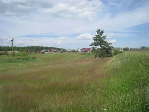 Участок в Рязанская область, Спасский район, Панинское с/пос, с. ...