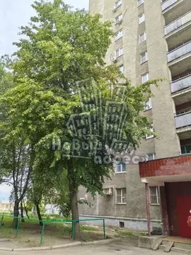 1-к кв. Воронежская область, Воронеж Новгородская ул., 127 (32.7 м)