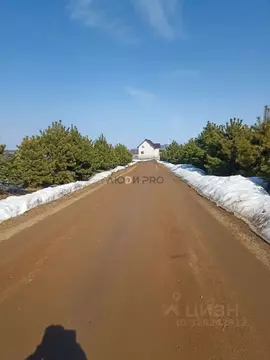 Участок в Ярославская область, Борисоглебский рп ул. Цветочная (11.0 ...