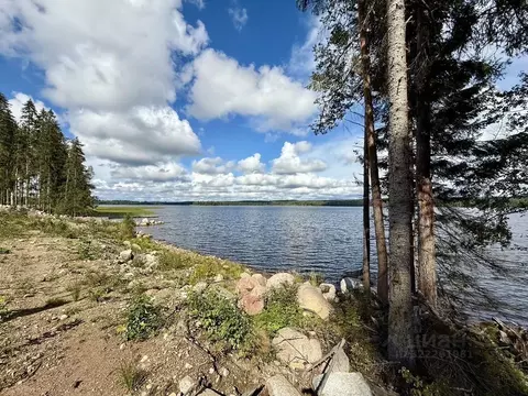 Участок в Ленинградская область, Выборгский район, Приморское ...