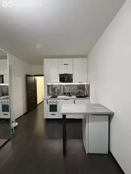 Квартира-студия: Санкт-Петербург, проспект Будённого, 21к1 (24.8 м)