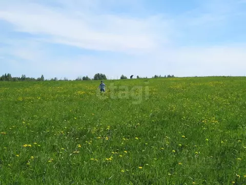 Участок в Вологодская область, Череповецкий район, Югское ...