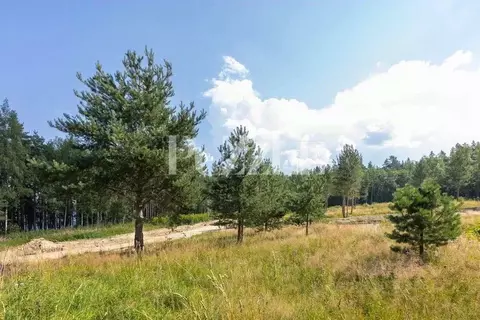 Участок в Ленинградская область, Приозерский район, Громовское с/пос, ...