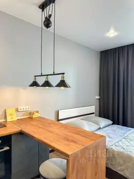 1-к кв. Иркутская область, Иркутск Дальневосточная ул., 166 (24.0 м)