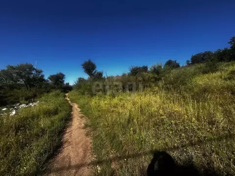 Участок в Амурская область, Благовещенск Подснежник СТ,  (5.0 сот.)