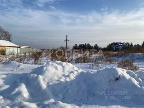 Участок в Тюменская область, Тюменский муниципальный округ, с. Луговое ...