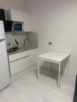 Студия Санкт-Петербург пос. Стрельна, просп. Буденного, 20к5 (24.2 м)