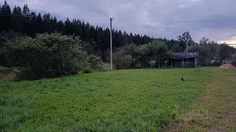 Участок в Псковская область, Печорский муниципальный округ, Мелиоратор ...