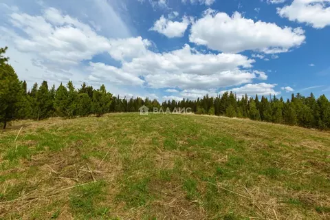 Участок в Калужская область, Дзержинский муниципальный округ, Льва ...