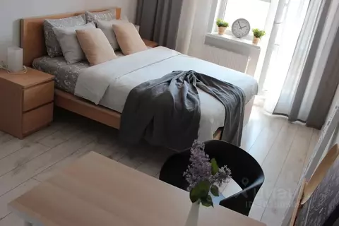 Студия Санкт-Петербург ул. Парфеновская, 9к1 (28.0 м)