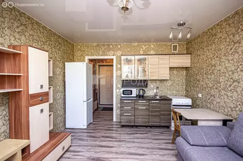 Квартира-студия: Новосибирск, улица Одоевского, 1/10 (20.4 м)