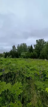 Участок в Пермский край, Краснокамский муниципальный округ, д. Семичи ...